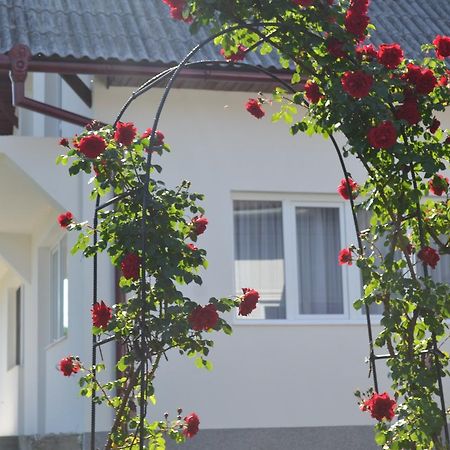 Casa Maria Guest House Prundul Birgaului Exterior photo