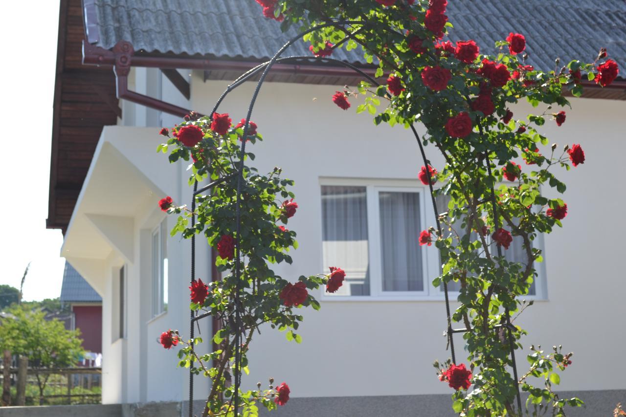 Casa Maria Guest House Prundul Birgaului Exterior photo